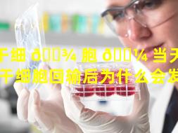 干细 🌾 胞 🐼 当天回输反应（干细胞回输后为什么会发热）